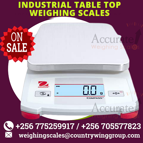 1 Where Can I Buy Table Top Weighing Scales In Kampala Uganda Processing Equipment1 Com