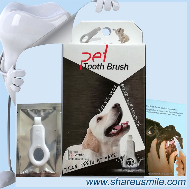 dog teeth cleaning kit